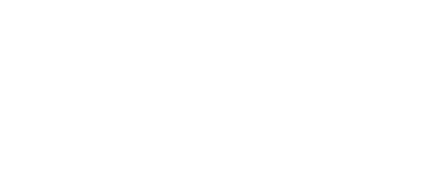 Vidamore