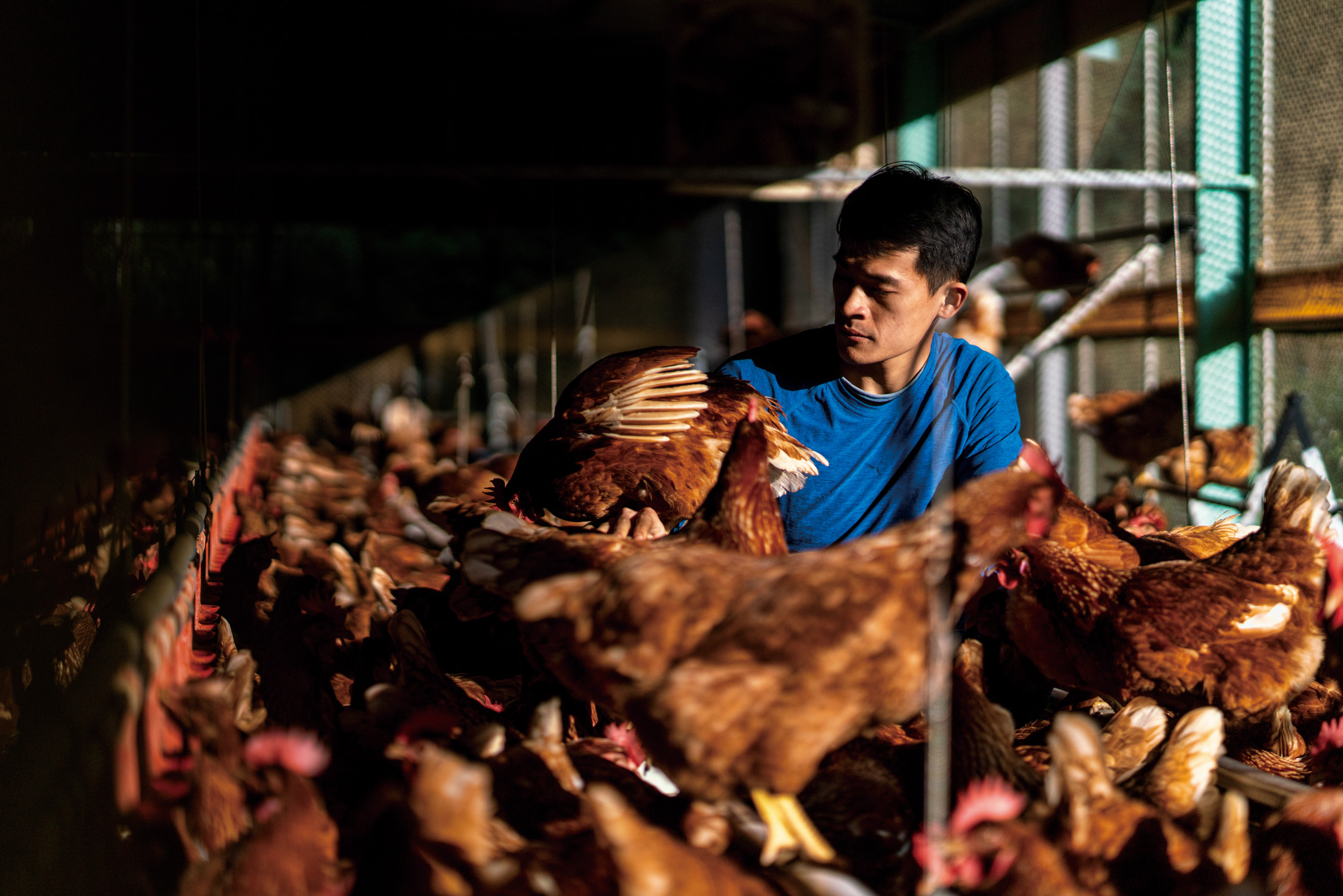 《中台灣食通信》vol.4｜2020